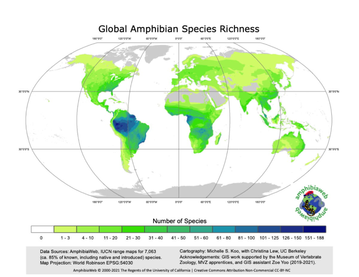 Global Amphibian Species Richness Map